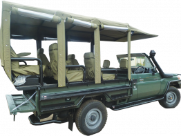 Game drive